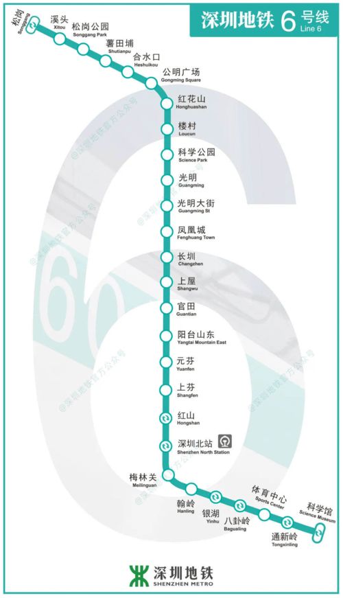 深圳地铁6 10号线8月18日正式开通运营啦